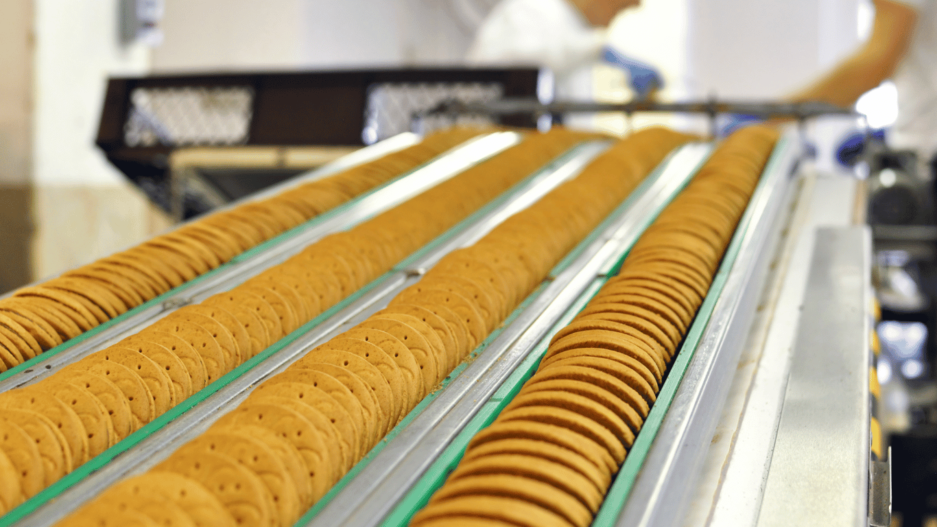 Sheet Metal Conveyor Systems: Streamlining Production in Food Manufacturing